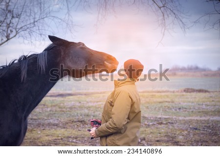 Horse and man at dawn sunlight on fields