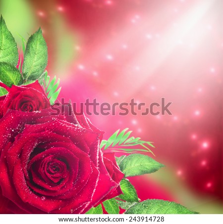 Red roses background with light and bokeh, holiday floral border