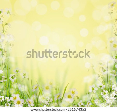 Grass with white flowers blurred nature background, floral border