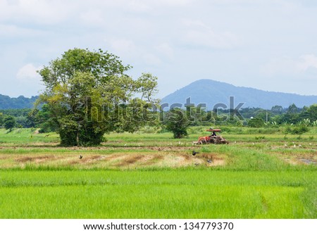 Farm worker preparing the ground for  the growth of rice with tractor, Thailand