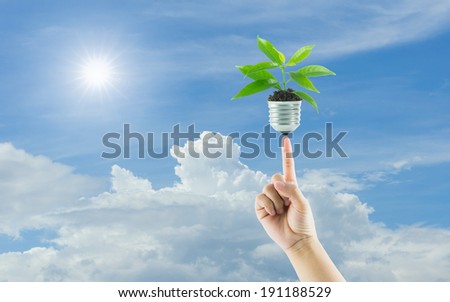 hands holding lamp light bulb new life plant on sky background