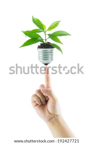 hands holding lamp light bulb new life plant on over white background