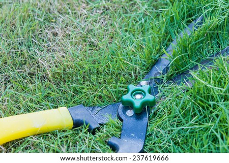 Scissors cut grass put in garden during cut