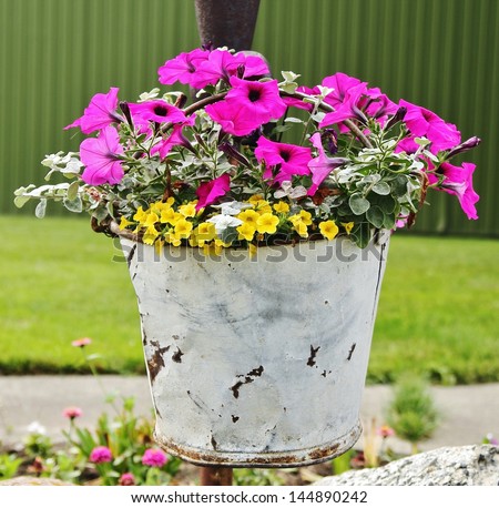 A Bucket of Beauty. A vintage white bucket as a flower container adds a touch of the country to the garden.