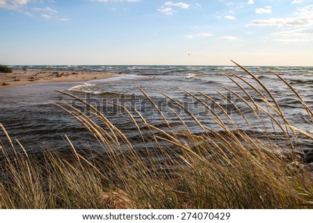 Coastal Background. Dune grass blows in the breeze as waves roll in on the sandy beach in the background.