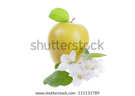 Big apple and apple-tree flowers