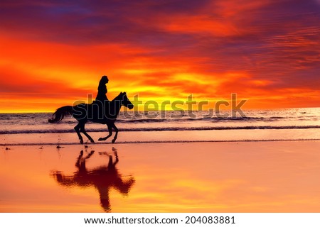 Silhouette of the girl skipping on a horse on an ocean coast on a sunset