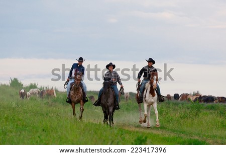 Three  cowboys drive herd of horses across the field