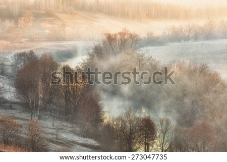 Beautiful spring landscape with the fog lit with a rising sun