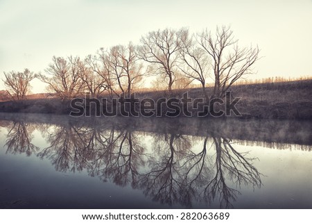 Trees are reflected in water early in the morning in the spring. Processing toning