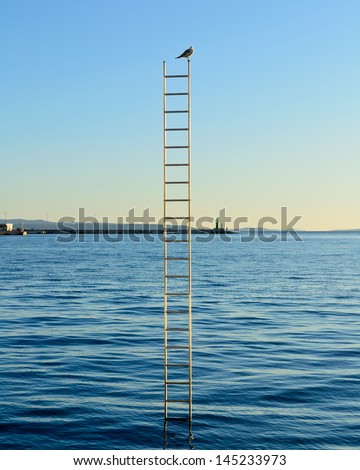 Bird on the top of the ladders which are stuck in the sea with blue sky and navy blue sea in the background.