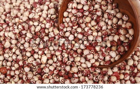 Pile Cranberry Bean isolated on white background. Also called Borlotti Bean or Shell Bean. Cranberry beans are rounded with red specks.