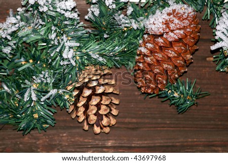 Two pine cones and artificial branch covered with snow