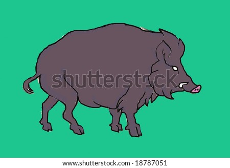 Wild boar on a green background