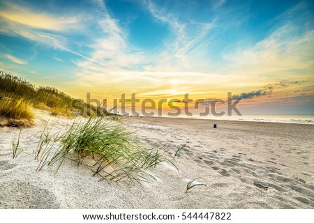 Similar – Image, Stock Photo Dune with dune grass in front of bright blue sky