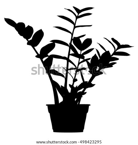 Zamioculcas houseplant in flowerpot,black silhouette vector