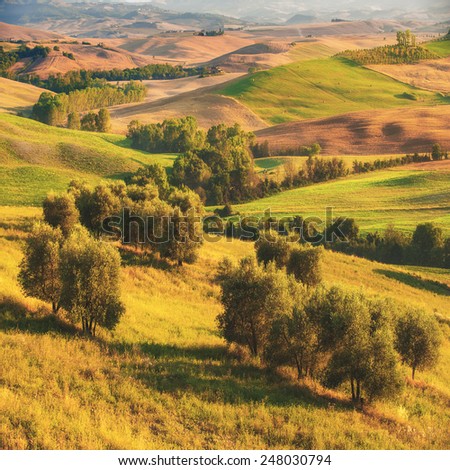 Beautiful sunrise over the Val d\'Orcia in Tuscany, natural park included in the heritages list of UNESCO