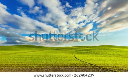 Landscape of the setting sun, green field and blue cloudy sky