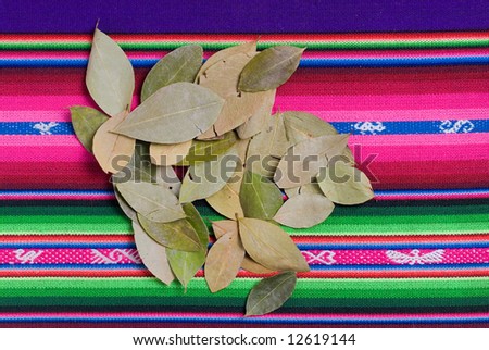 Coca Leaves on colorful tapestry