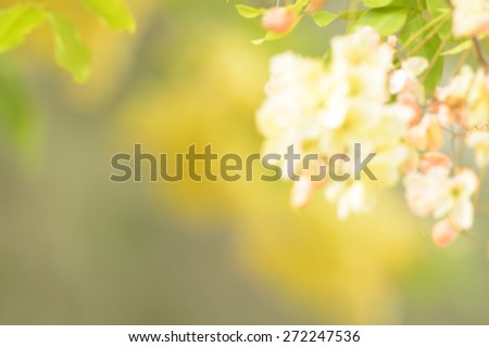 summer sunlight with beautiful defocused yellow flowers abstract nature background with green leaves yellow flowers and bokeh lights.