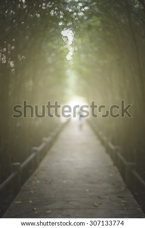 Defocused and Bokeh Light Tropical exotic travel concept - concrete bridge in flooded rain forest jungle of mangrove trees at phuket thailand