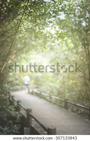 Defocused and Bokeh Light Tropical exotic travel concept - concrete bridge in flooded rain forest jungle of mangrove trees at phuket thailand
