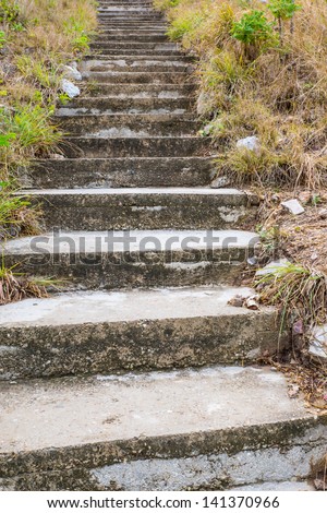 Staircase stone. way up the hill in forest.
