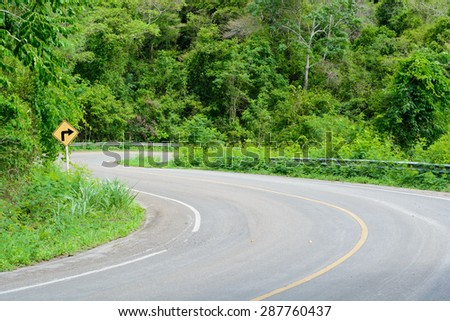 Asphalt roads in the forest and turn left and right
