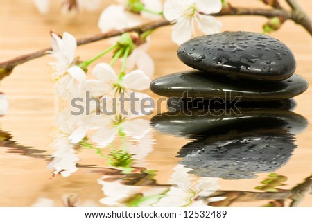 Stacked therapy stones and blooming cherry tree branch with water reflection