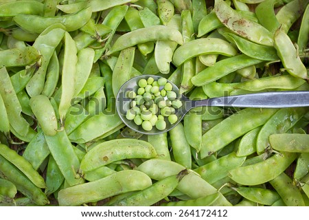 Green seed string beans in the spoon