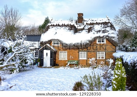 Thatched cottage in winter in the New Forest