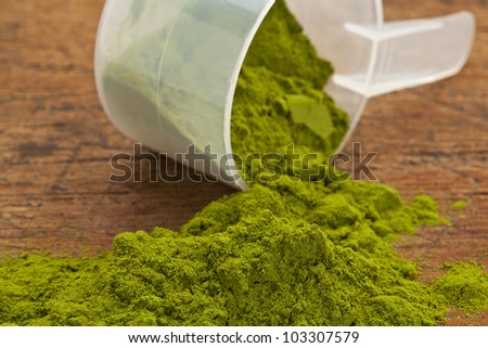 wheatgrass powder spilling of a plastic measuring scoop against grunge wood background