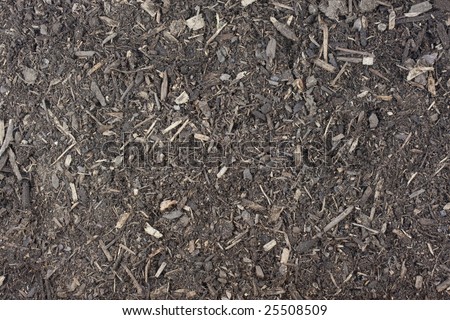 dry garden potting soil background with small wood chips and sticks