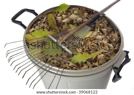 old rusty rake and dry leaves in plastic garbage bin isolated on white - fall backyard work concept