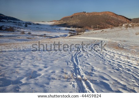 winter trail with footprints, cross country ski and snowshoe tracks at foothills of Rocky Mountains near Fort Collins, Colorado