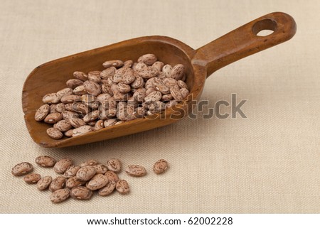 spotted pinto beans on a rustic wooden scoop against tablecloth