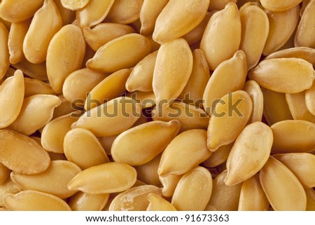 background of golden flax  seeds, two times life-size magnification
