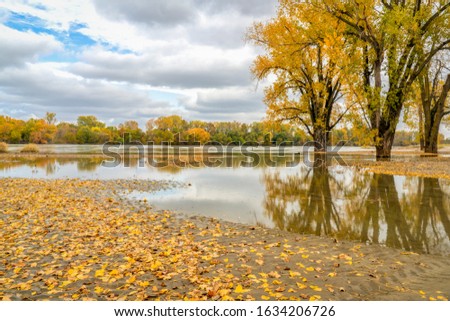 Image, Stock Photo The tree in the autumn dress in front of the facade of marble