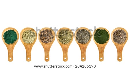 seaweed and algae nutrition supplements (Irish moss, wakame, bladderwrack, wakame, kelp, spirulina,chlorella) - top view of isolated wooden spoons