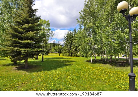 Beautiful view of the city park. Green corner of a large industrial city, where shady trees, flowering yellow dandelions, lights, blue sky with white clouds.