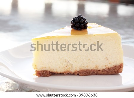 Cheesecake with a single blackberry shimmering in the afternoon sun