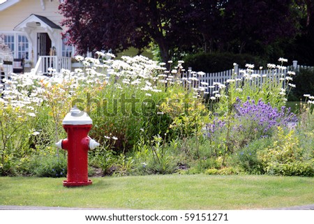 Red fire hydrant on grassy lawn with flowers in background