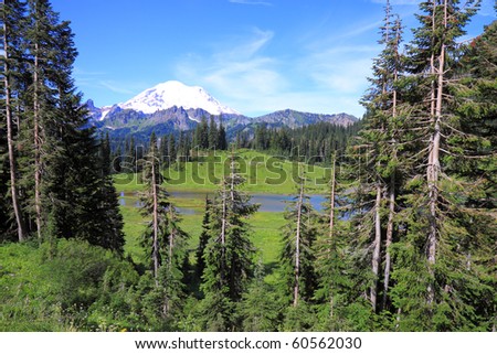 Gorgeous Mount Rainier wilderness with evergreen trees and lake