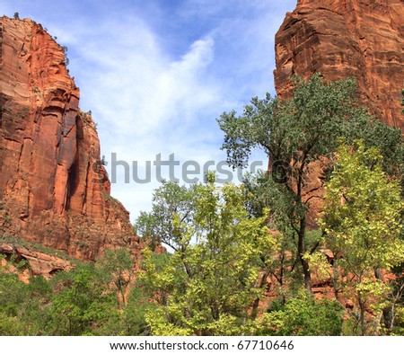 Landscape in Zion National Park with large mountainous rock formations and green valley