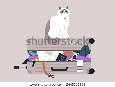 A content ragdoll cat perched on a brimming suitcase filled with various belongings