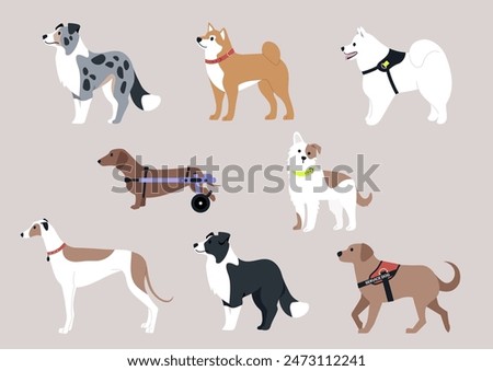 A colorful illustration featuring eight diverse dog breeds, including a border collie, a dachshund, a greyhound, a shiba inu, and a service dog