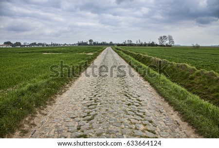 Similar – Image, Stock Photo Cobbled road with grass between stones