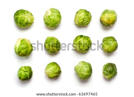 Macro of Brussels sprout buds  in rows isolated on white