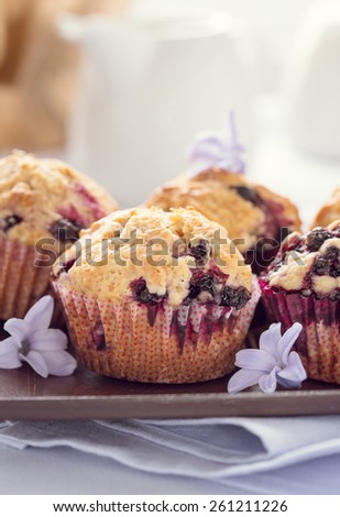Homemade black berry muffins. Muffins with black currant for mother\'s day breakfast on pastel lavender color background