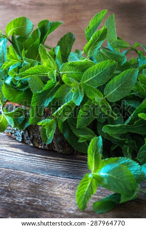 Bunch of fresh organic mint on the wooden board, rustic style
